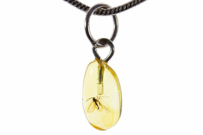 Polished Baltic Amber Pendant (Necklace) - Contains Fly! #339619